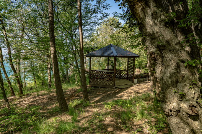 Отель Green Wood