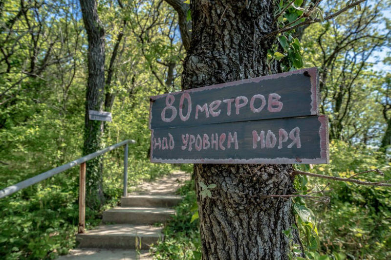 Отель GreenWood - Вид на море